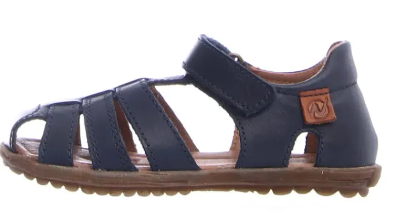 See - Navy